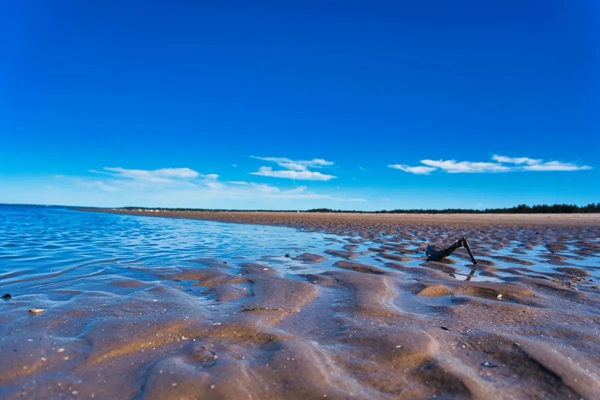 The Beach