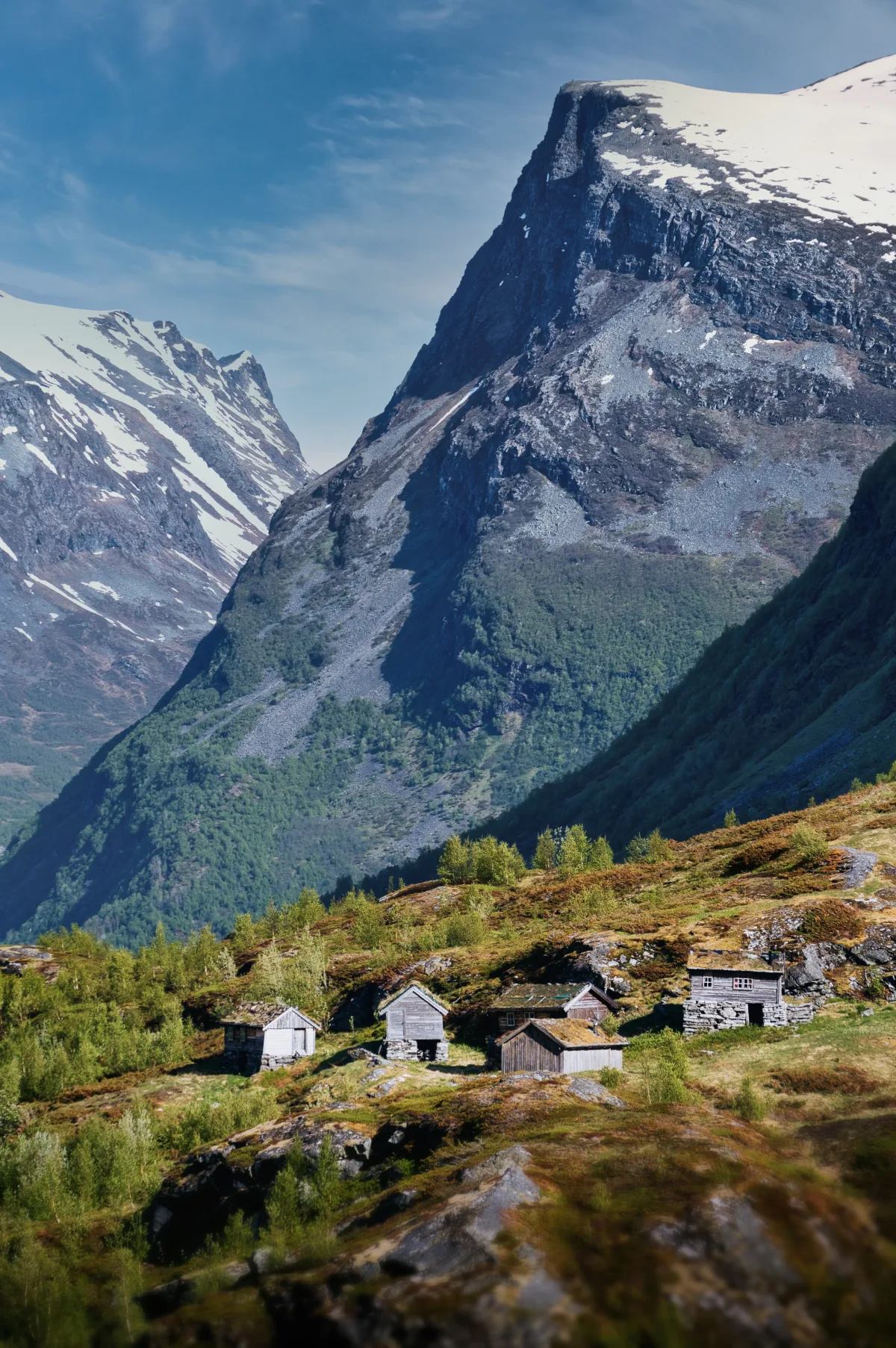 Mountain Cabins