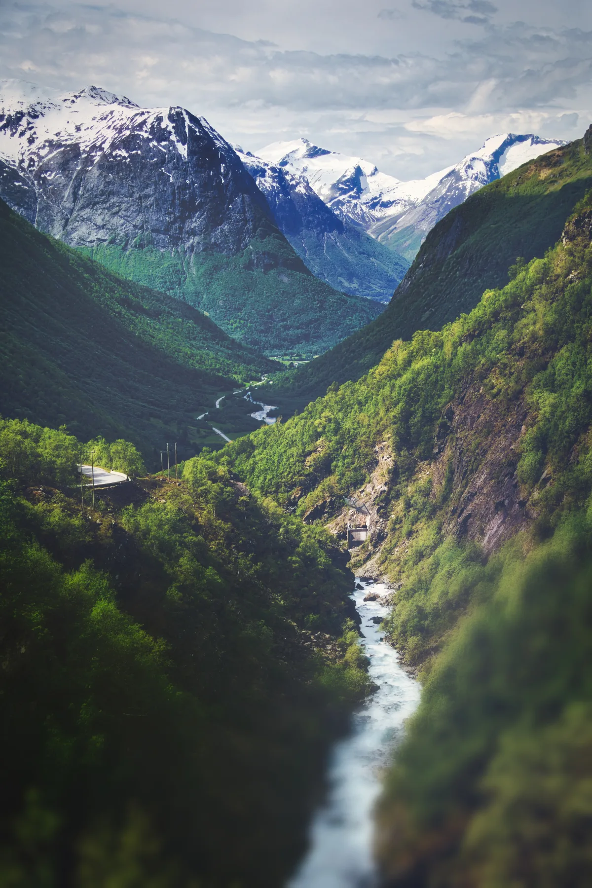 Nature