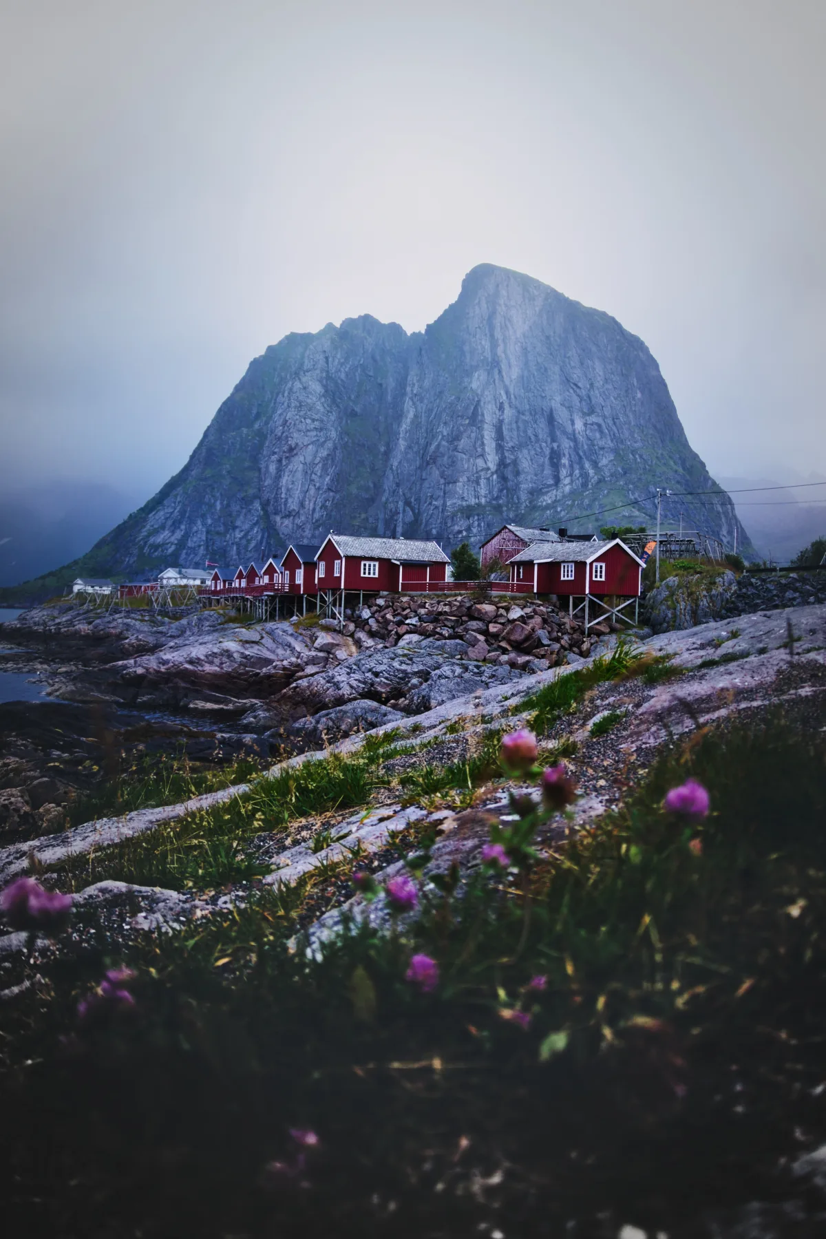 Red Houses