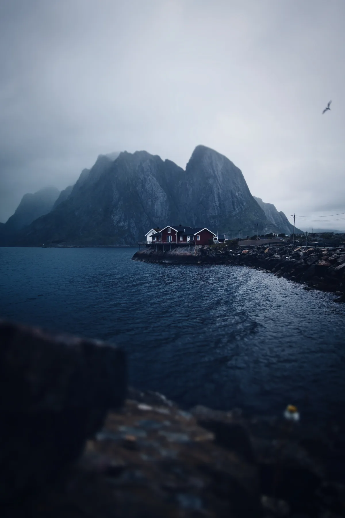 Moody Vibes